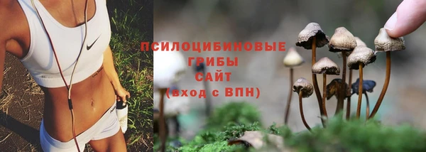 ешки Абинск