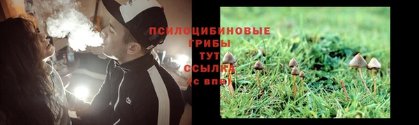 твердый Абаза