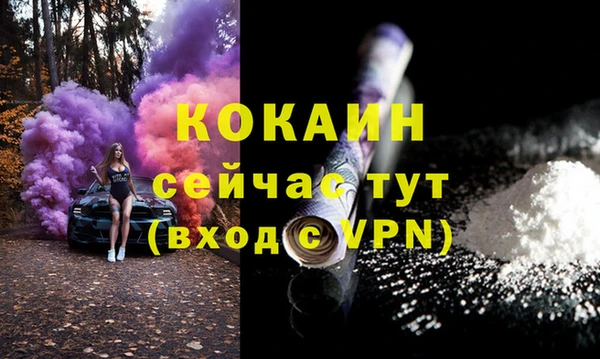 твердый Абаза