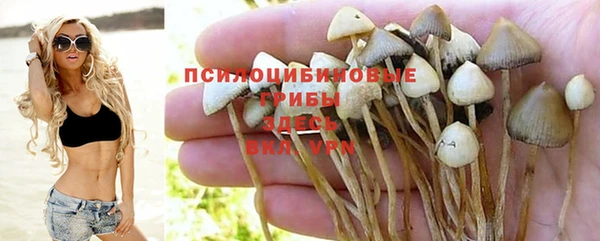 твердый Абаза
