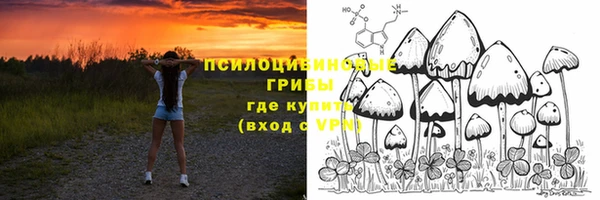 ешки Абинск