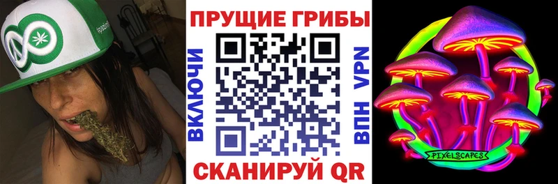 Галлюциногенные грибы ЛСД  что такое   Зея 